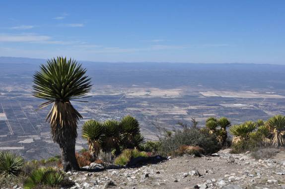 A magnífica vista do alto de 'El Quemado', a montanha sagrada da região de Real de Catorce, pueblo mágico no norte do México